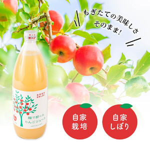 りんご ジュース 3本 × 各1000ml 大町産 箱入り 長野 信州