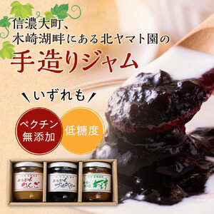 ジャム セット 570g ( 190g × 3種 ) 北ヤマト園 | りんご ブルーベリー あんず ジャム 長野 信州