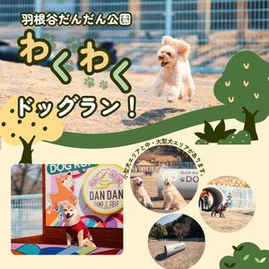 羽根谷だんだん公園 ドッグラン 年間パス 岐阜県 海津市
