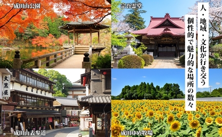 千葉県 成田市 旅行クーポン 300,000円分 成田空港 成田山 新勝寺 観光 旅行 ホテル 旅館 老舗 高級 トラベル チケット 家族 カップル 宿泊 予約 おすすめ 旅行券 宿泊券