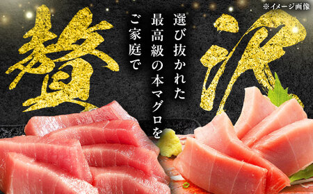 【全3回定期便】 対馬産 本マグロ 3種 計900g（赤身/中トロ/ネギトロ）[WAH040] マグロ まぐろ トロ