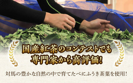 【1週間以内発送】対馬紅茶2包入り 4個セット《対馬市》 【つしま大石農園】 長崎 対馬 ティー お茶 飲料[WBE017] スピード発送 最速発送 最短発送