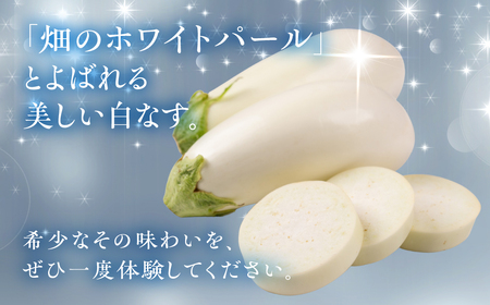 ≪先行予約≫白茄子 6本 ナス 茄子 なす なすび 白なす しろなす 白ナス 白茄子 野菜 旬 旬の野菜