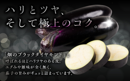 ≪先行予約≫とげなし茄子 20本 ナス 茄子 なす なすび 野菜 旬 旬の野菜 糖度 石田茄子 トゲなし