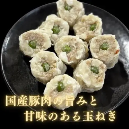 完全手作り!　自家特製シュウマイ計100個　10個×10パック　蒸し後　冷凍　国産豚　小分け【配送不可地域：離島】【1610615】
