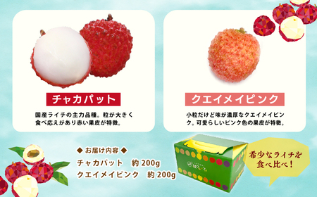 【先行予約/数量限定】希少 綾生ライチ 2種食べ比べセット/ 宮崎県産 ライチ 国産【JA綾町】_A0114-234