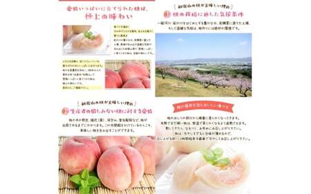 【夏の美味】 【和歌山ブランド】 フルーツ王国 和歌山の 桃 12～16玉入り（約4kg） 品種おまかせ / 桃 もも フルーツ くだもの 果物 果実 お中元 お供え お盆 和歌山 ※北海道・沖縄・その他離島への配送不可 ※2026年6月中旬～7月下旬に順次発送 【ard501-r-4A】