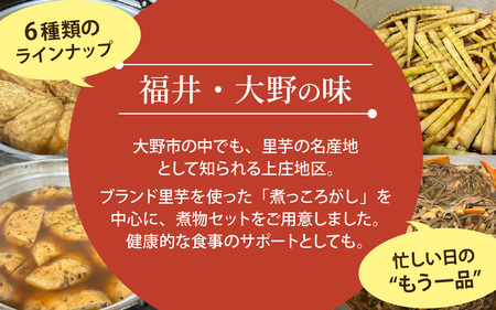 【福井・大野の味】福井・大野の味 じっくり煮物Aセット6種類(計7袋入）[A-054038]