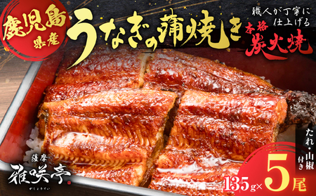 職人 が 丁寧 に 仕上げる 本格 炭火焼 鹿児島県産うなぎ の 蒲焼き 5尾 K282-001_02 魚 惣菜 総菜 冷凍