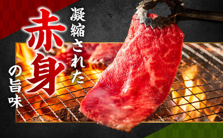 おおいた和牛 もも・バラ焼肉セット 600g(各300g) 赤身 モモ 焼肉  冷凍 豊後牛 おおいた和牛 バラ BBQ  [ARCG013]