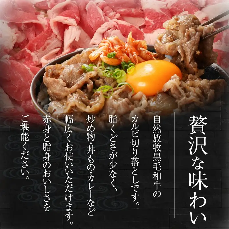 八崎牛のカルビ切り落とし 500g N0105-YA0490
