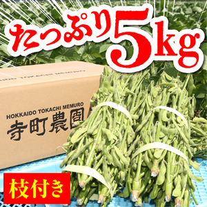 【2026年8月より発送】産地直送！北海道十勝芽室町 枝付き枝豆 5kg おつまみ ビール お酒 酒の肴 晩酌 たっぷり 送料無料 特産品 お手軽 北海道 十勝 芽室町 me081-001c