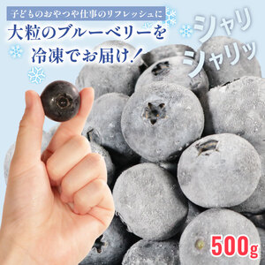 【先行予約】冷凍ブルーベリー 約500g（1袋500g） ブルーベリー