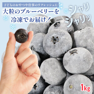 【先行予約】冷凍ブルーベリー 約1kg（1袋500g×2） ブルーベリー