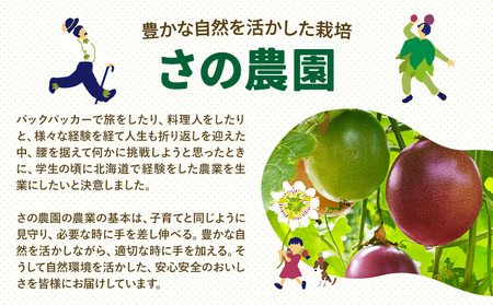 さの農園の パッションフルーツ 約1kg 10-15玉
