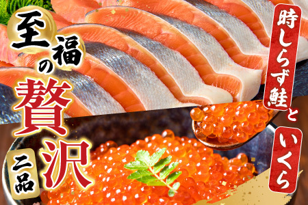 【北海道根室産】時しらず鮭1.5kg×1P・いくら醤油漬け50g×1P F-42013