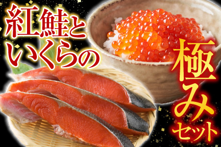 紅鮭姿切り1.2kg×1P・いくら醤油漬け50g×4P C-42095