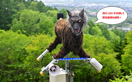 株式会社　太田精器　モンスターウルフ  3カ月レンタル権