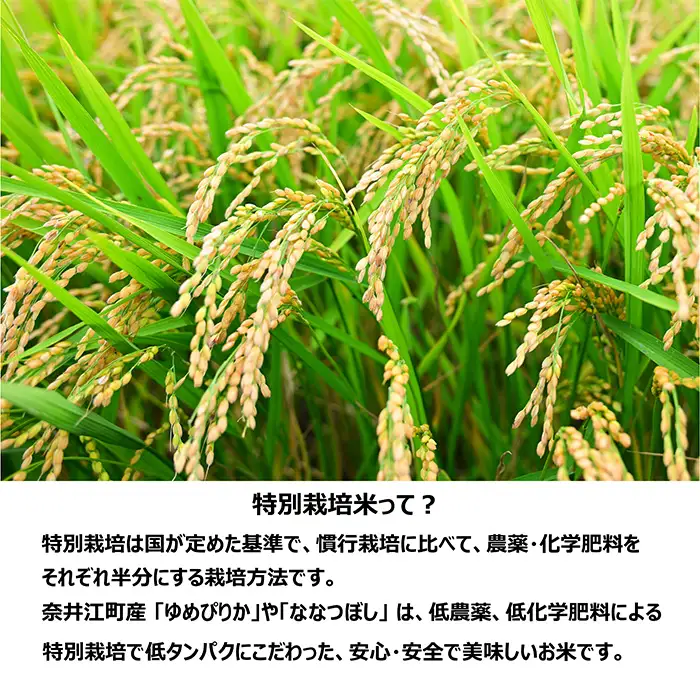 【定期便12回】北海道奈井江町　特別栽培米　ななつぼし　5kg