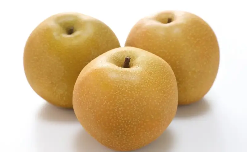 梨 2026年 先行予約 あたご梨 約3kg 3～5玉入り  なし ナシ  岡山県産 国産 フルーツ 果物 ギフト 和梨 デザート 食後 日本一の大きさ 大玉 シャリシャリ