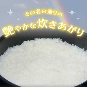 米 令和7年 虹のきらめき 10kg  白米