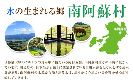 熊本県 南阿蘇村 日本旅行 地域限定旅行クーポン 300,000円《寄付翌月末を目途に付与いたします》