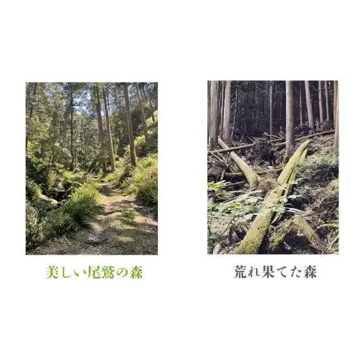 三重県 尾鷲（オワセ）ヒノキ使用、職人技「伊勢逢わせ」一枚板テーブル　幅1,800×奥行750～850×高さ約720㎜　【家具 インテリア 一枚板 おすすめ ブランド メーカー オーダーメイド 手作り おしゃれ 木 テーブル ダイニング 家族 一人暮らし 脚 天板 新生活 引越し 椅子 イス ブルック 三重県 四日市市 ふるさと納税】
