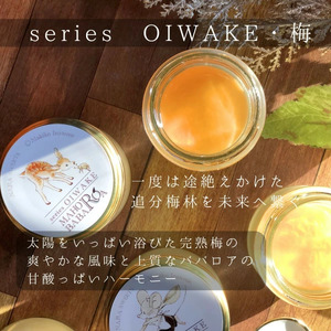 まほろババロア series OIWAKE・完熟梅 ５個セット LOG CABIN（ログ・キャビン） 10-207