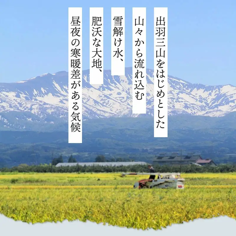 【冷凍】でわのもち使用　もち米玄米おむすび　20個（5種×各2個×2セット） | おにぎり 冷凍 もち米玄米 玄米 食品 ご飯 簡単 便利 お手軽 レンジ 山形県 鶴岡市 返礼品