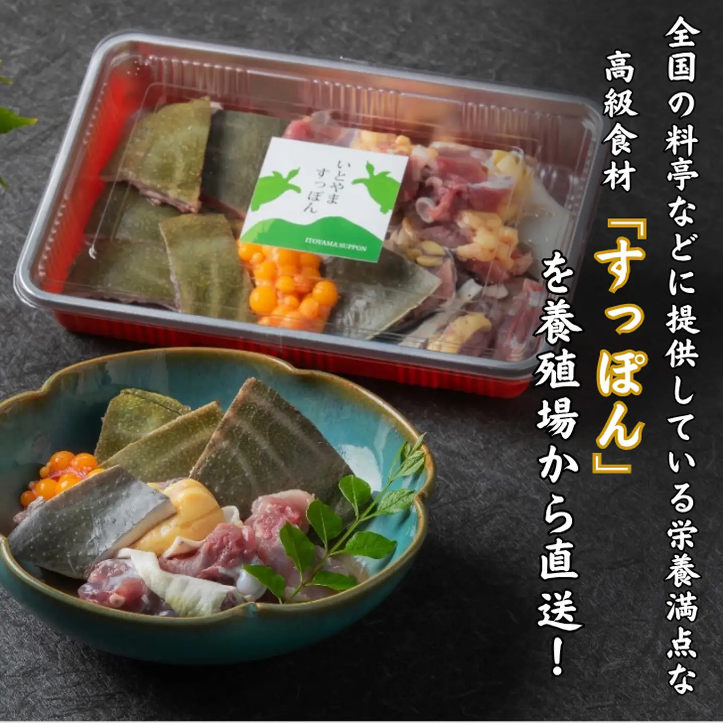 【スープ付き】栄養満点「いとやますっぽん」の鍋セット 300g 佐賀県産 スッポン 冷凍 鍋 カット済み 国産 簡単調理 美容 健康 コラーゲン 九州 佐賀県 佐賀市 ヤマト水産：B240-022