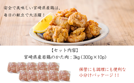 宮崎県産若鶏肩肉3.0kg（300g×10P）TF0836-P00063