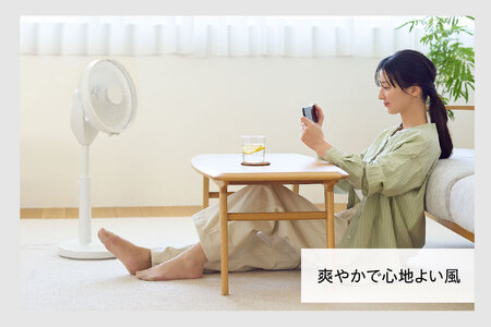 サーキュレーション扇風機 3D Lite (EF-E995W)