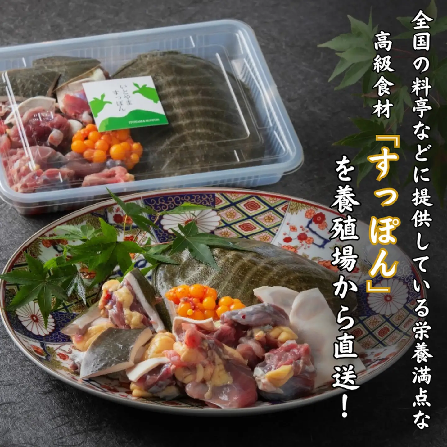 【スープ付き】「いとやますっぽん」の鍋セット500g すっぽん：B350-002