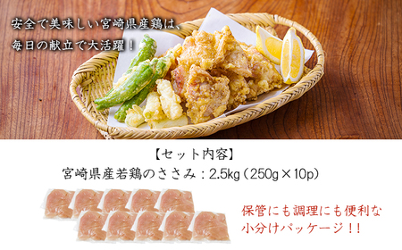 宮崎県産若鶏ささみ（筋なし）2.5kg（250g×10P） TF0839-P00063