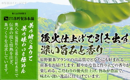 八女茶 煎茶 200g（100g×2袋）茶 緑茶