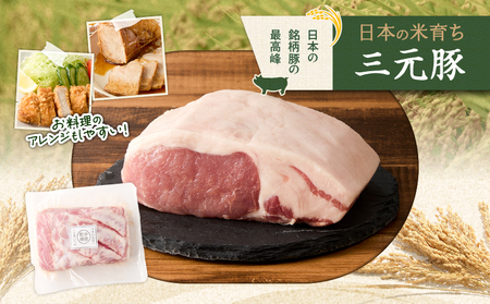 【 平田牧場 】 三元豚 ロース ブロック 600g T036-014 肉 豚肉