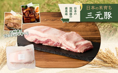 【 平田牧場】 三元豚 バラ ブロック 600g T036-015 肉 豚肉