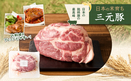 【 平田牧場 】 三元豚 肩ロース ブロック 600g T036-016 肉 牛肉