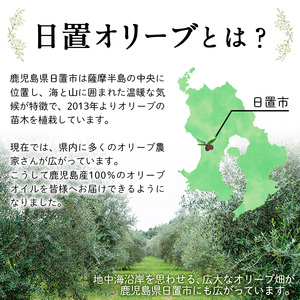 No.1253 ＜数量限定＞オリーブの苗(1本)鹿児島県産 苗 観葉植物 オリーブ 国産 シンボルツリー 庭木 内祝い ギフト 贈答 プレゼント 観賞 苗木 オリーブの木【鹿児島オリーブ】