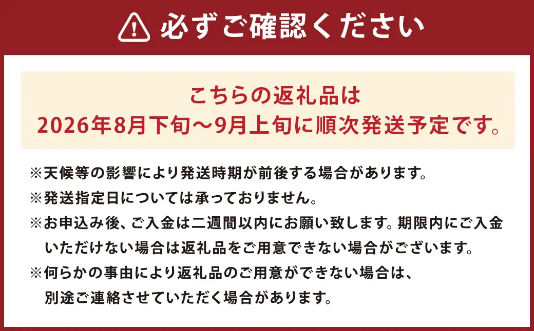 種あり巨峰 約2.5kg ぶどう 果物 くだもの フルーツ 長崎県産 【2026年8月下旬～9月上旬迄発送予定】