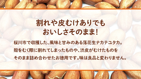 訳あり お徳用 茨城県産 生落花生 合計920g (230g×4袋)[BB011sa]