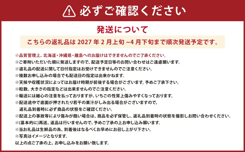 大粒あまおう 2パック あまおう いちご イチゴ 苺 果物 くだもの フルーツ【2027年2月上旬～4月下旬発送予定】