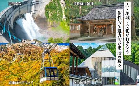 富山県 立山町 旅行クーポン 150,000 円分 キャンプ 体験 登山 観光 旅行 ホテル 旅館 老舗 高級 トラベル チケット 家族 カップル 宿泊 予約 おすすめ 父の日 母の日 旅行券 宿泊券 F6T-964