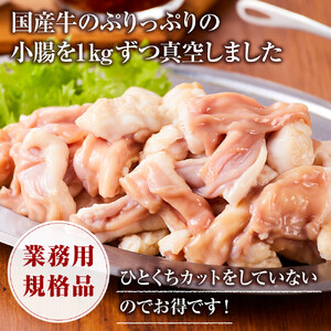 《業務用・訳アリ》国産牛　小腸　2kg