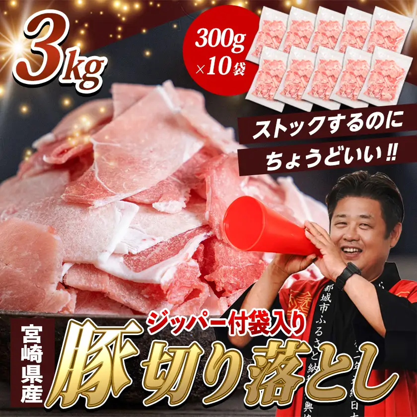 宮崎県産豚切り落とし3kg(ジッパー付袋入り)〔13-15-009-3kg〕_(都城市) 宮崎県産 豚肉 切落とし チャック付き 小分け 冷凍 省スペース ウデ肉 モモ肉 ストック 豚肉 小分け 使いやすい 焼きそば カレー 生姜焼き 肉野菜炒め アレンジ