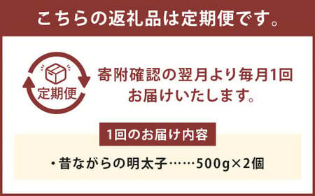 【3ヶ月定期便】 辛子明太子 「昔ながらの明太子」 500g×2個セット （小切れタイプ） 計3kg（1kg×3回）  めんたいこ 明太子