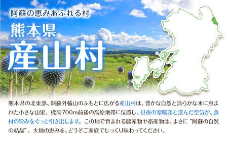 大容量 鶏肉 熊本県産 若鶏むね肉 2kg×4袋 8kg 《30日以内に出荷予定(土日祝除く)》