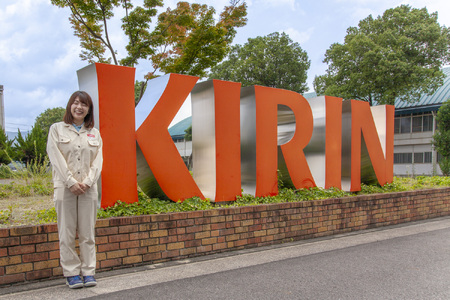 【定期便3回】キリン 一番搾り ホワイトビール 350ml × 24本 3ヶ月 | 一番搾り