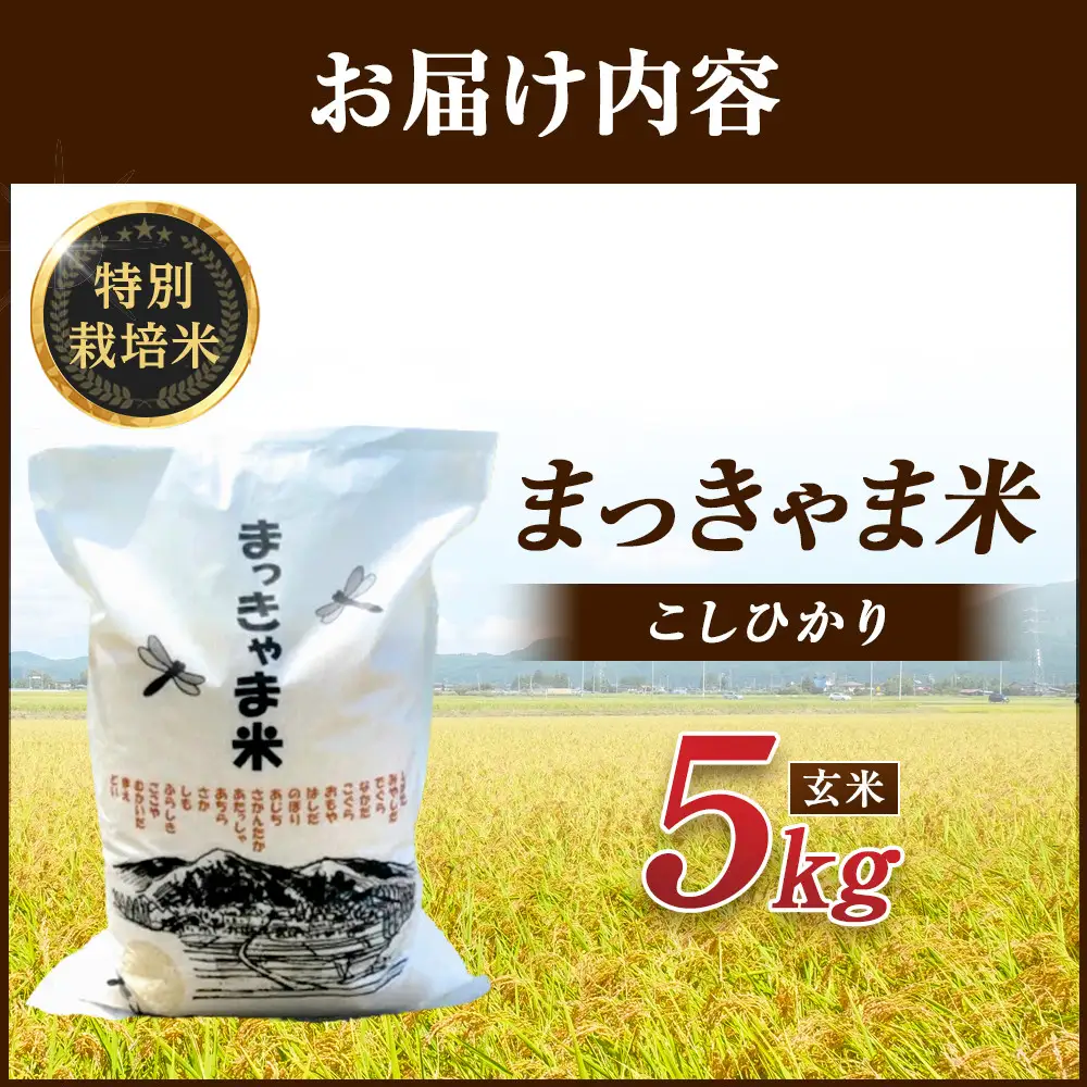 令和7年度産【特別栽培米】 石川県産こしひかり 棚田米【玄米】 5kg まっきゃま米