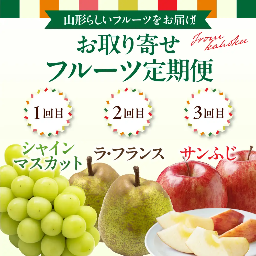 定期便 3回 山形フルーツ マスカット 洋梨 サンフジ 定期便 フルーツ